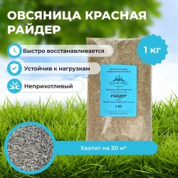 Овсяница красная Райдер 1 кг