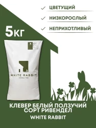 Клевер белый ползучий сорт Ривендел  White Rabbit, 5 кг
